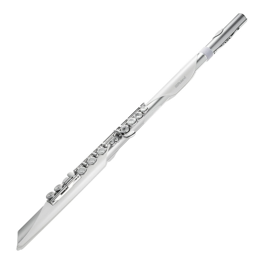 Rakuten - Roland Aerophone Brisa Digital Wind Instrument [AE-BRISA]