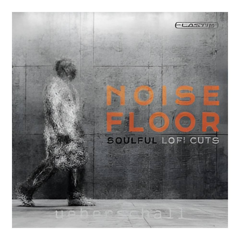 樂天商城 - UEBERSCHALL NOISE FLOOR [メール納品]