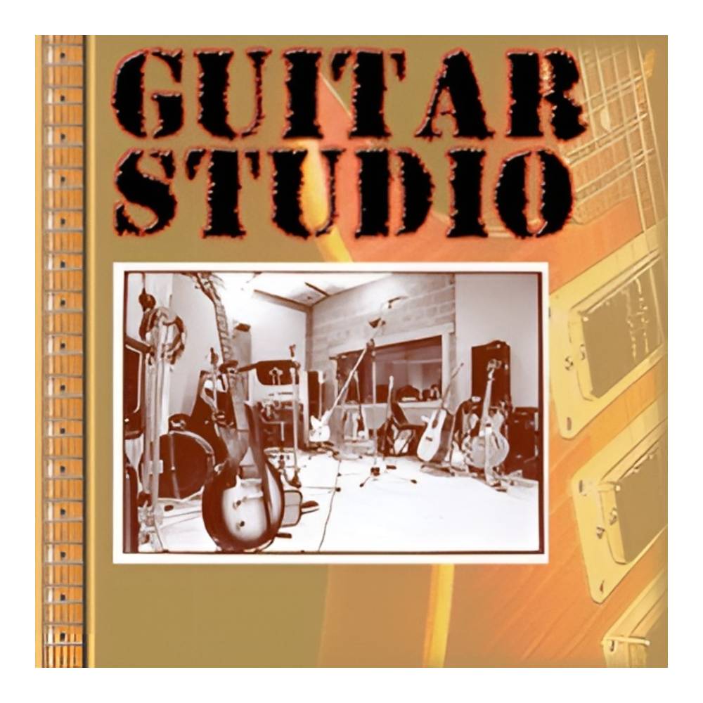 BIG FISH AUDIO GUITAR STUDIO[メール納品]
