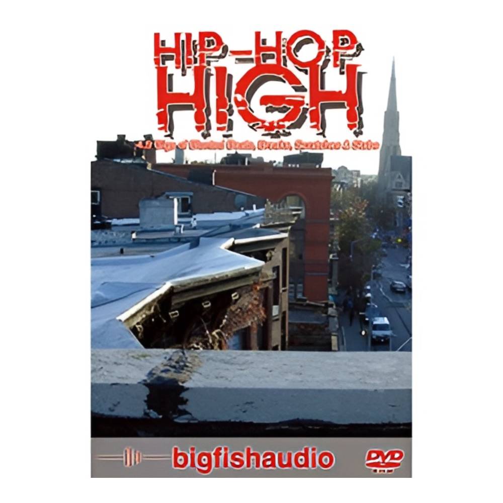 樂天商城 - BIG FISH AUDIO HIP HOP HIGH[メール納品]