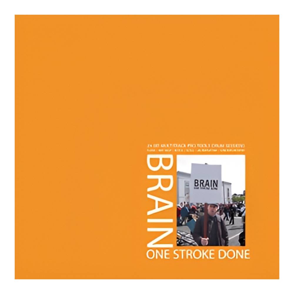 BIG FISH AUDIO BRAIN ONE STROKE DONE[メール納品]