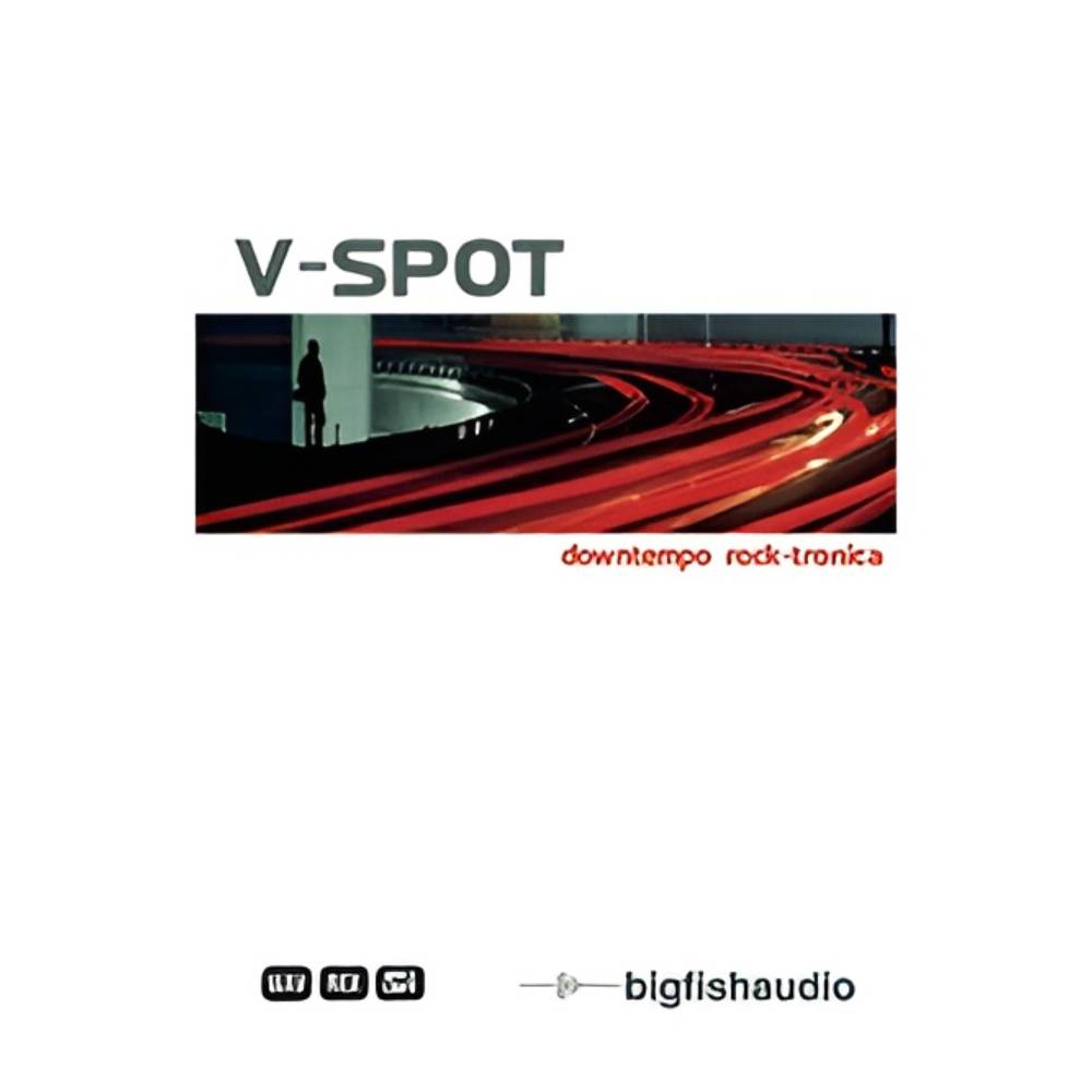 BIG FISH AUDIO V SPOT[メール納品]