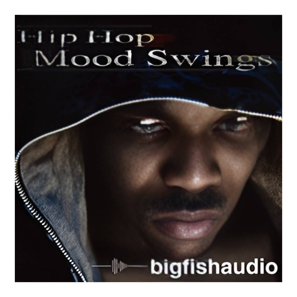 BIG FISH AUDIO HIP HOP MOOD SWINGS[メール納品]