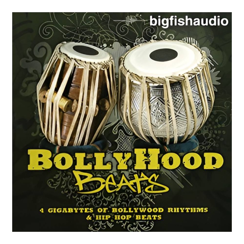 BIG FISH AUDIO BOLLYHOOD BEATS[メール納品]