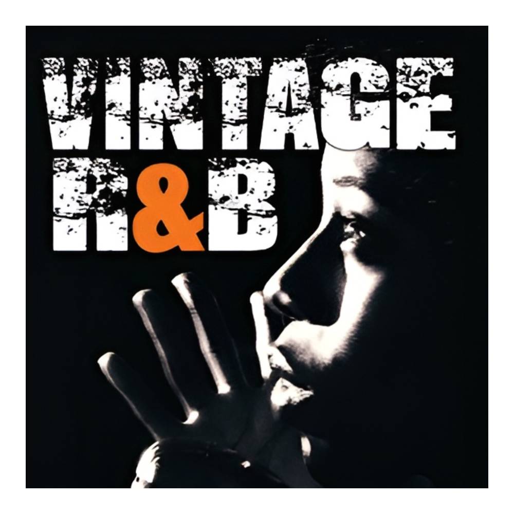 BIG FISH AUDIO VINTAGE R&B[メール納品]