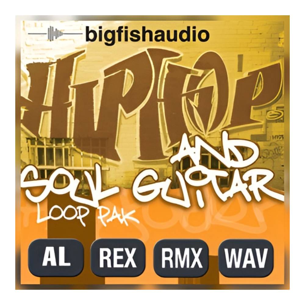 樂天商城 - BIG FISH AUDIO HIP HOP AND SOUL GUITAR PAK[メール納品]