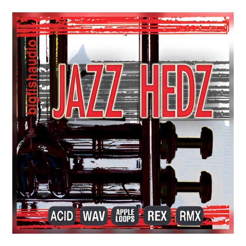 乐天商城 - BIG FISH AUDIO JAZZ HEDZ - ACID JAZZ PAK[メール納品]