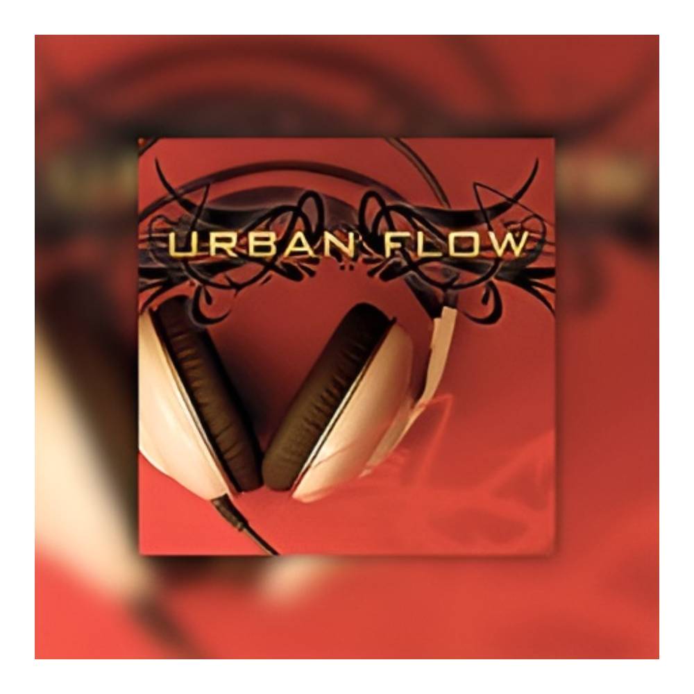 BIG FISH AUDIO URBAN FLOW[メール納品]