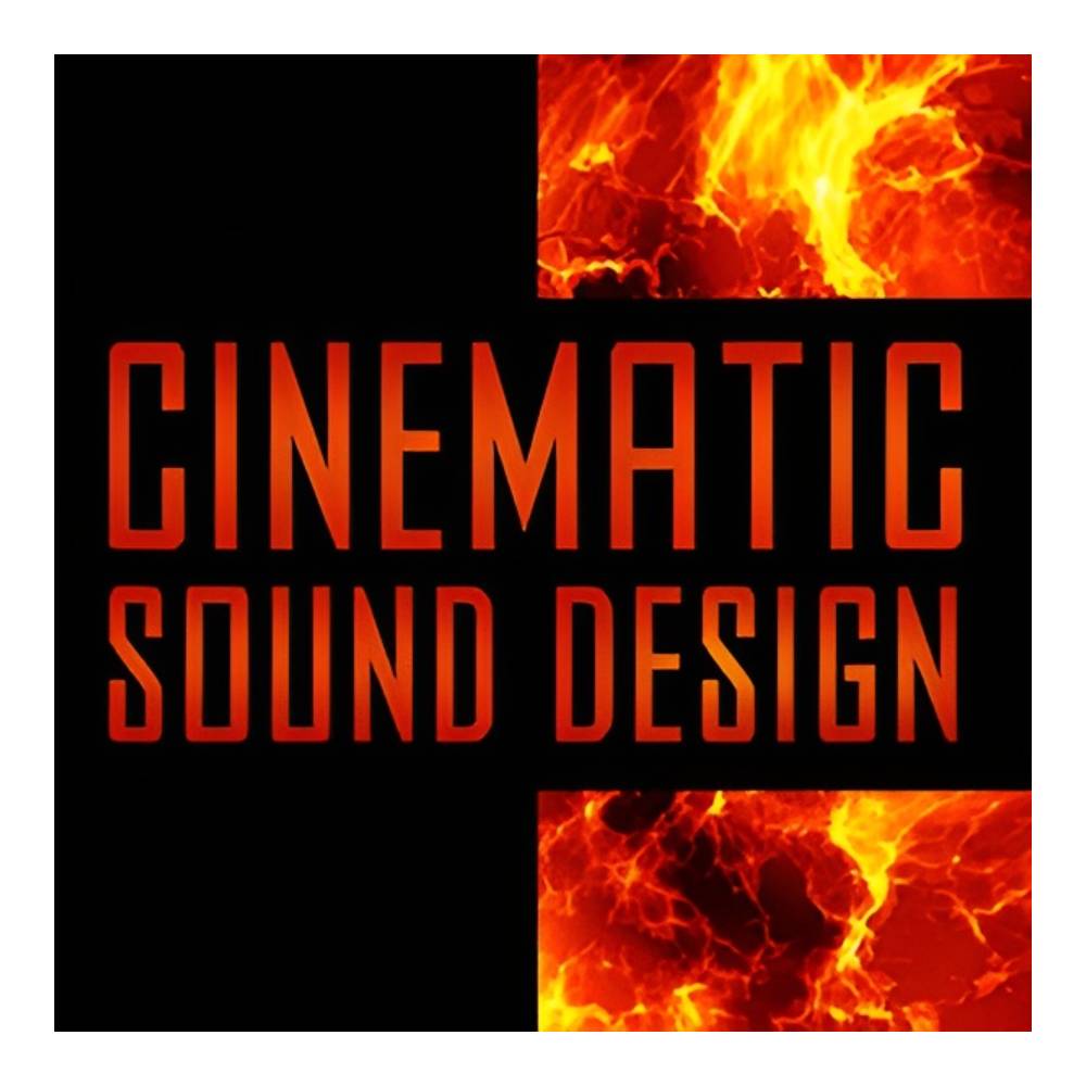 Sound Source - BIG FISH AUDIO CINEMATIC SOUND DESIGN[メール納品]