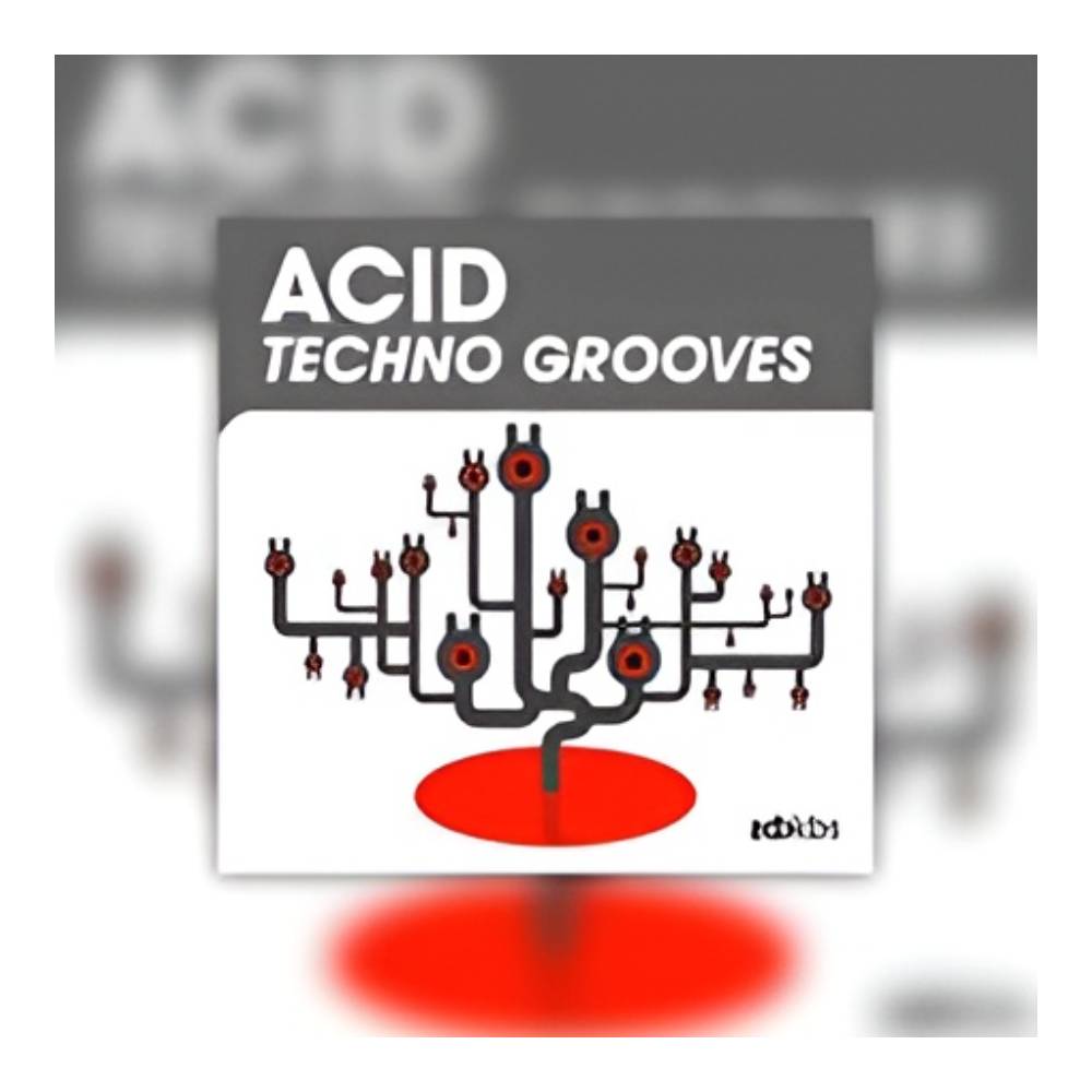 Sound Source - BIG FISH AUDIO ACID TECHNO GROOVES[メール納品]