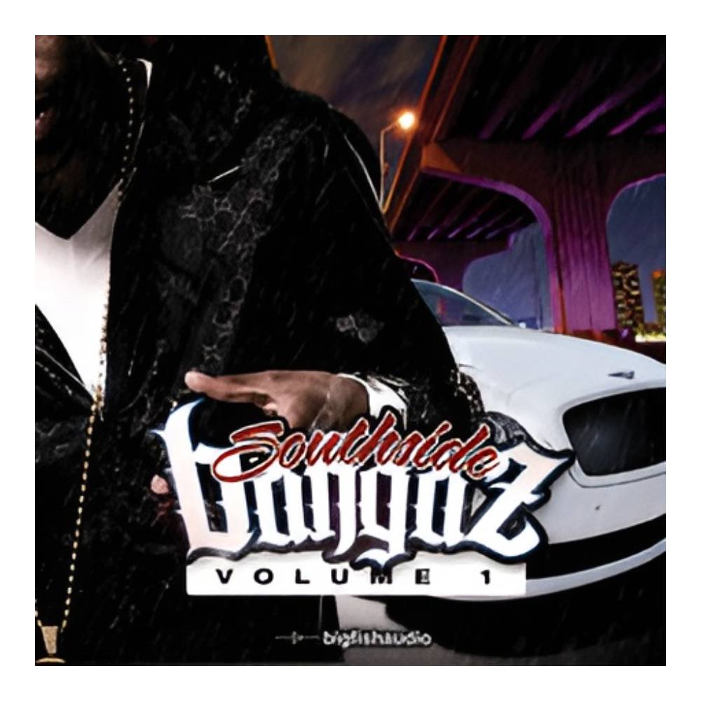 Sound Source - BIG FISH AUDIO SOUTHSIDE BANGAZ VOL.1[メール納品]