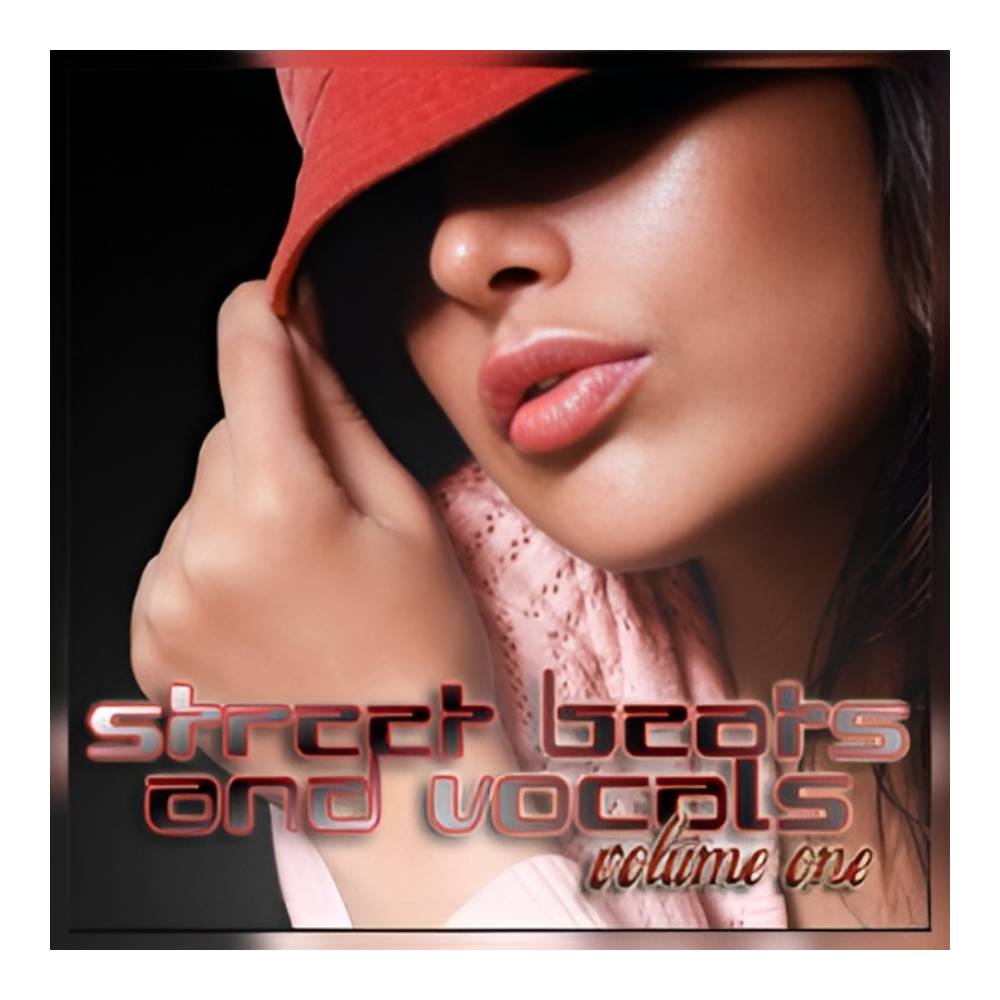 Sound Source - BIG FISH AUDIO STREET BEATS & VOCALS VOL.1[メール納品]