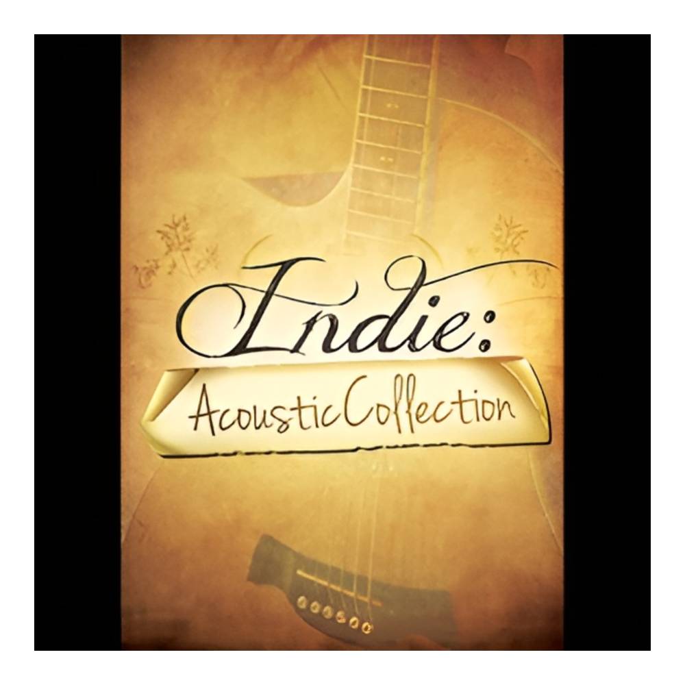 Sound Source - BIG FISH AUDIO BIG FISH AUDIO INDIE - ACOUSTIC COLLECTION[メール納品]