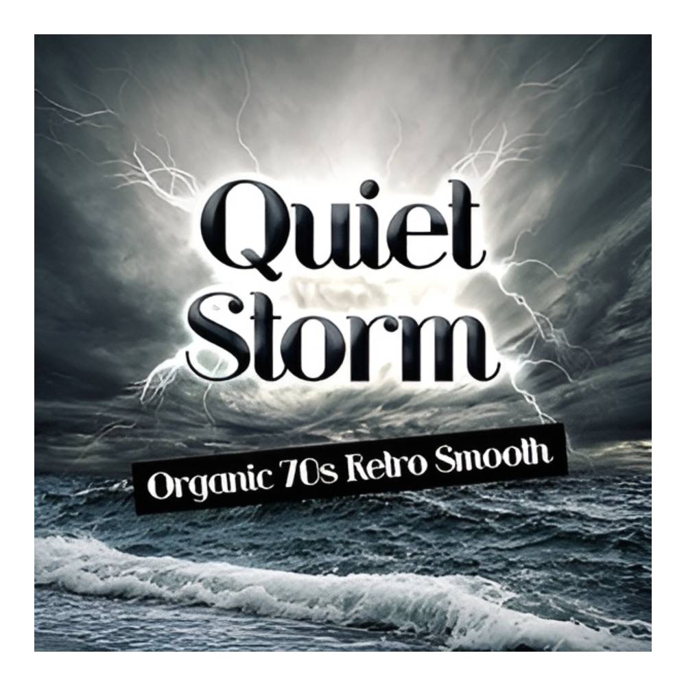 樂天商城 - BIG FISH AUDIO QUIET STORM[メール納品]