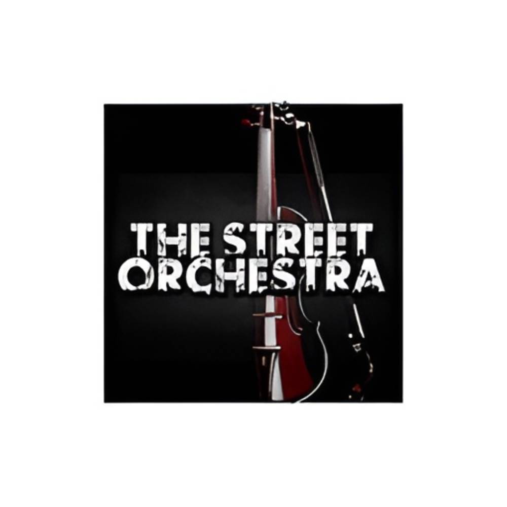 Sound Source - BIG FISH AUDIO THE STREET ORCHESTRA[メール納品]