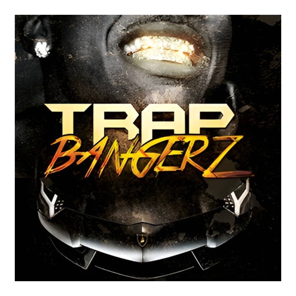 Sound Source - BIG FISH AUDIO TRAP BANGERZ[メール納品]