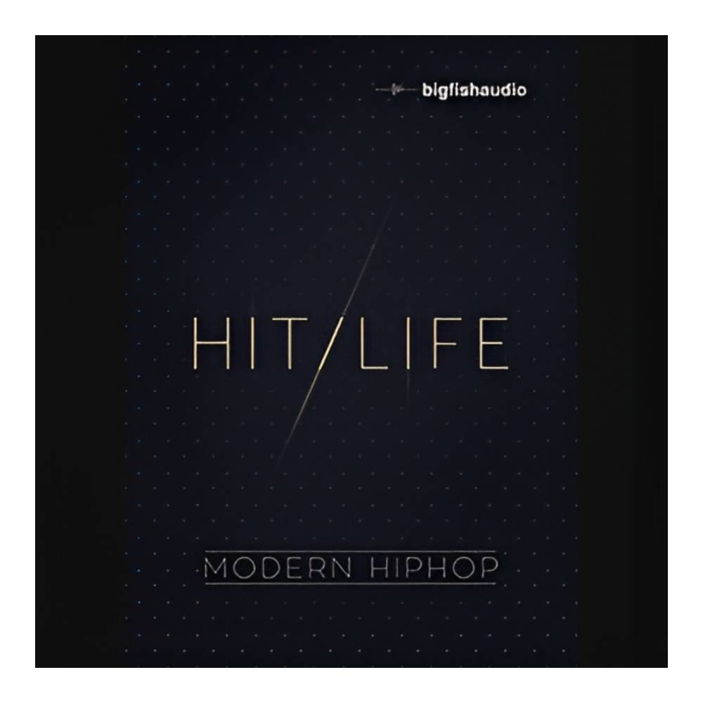 BIG FISH AUDIO HIT LIFE[メール納品]