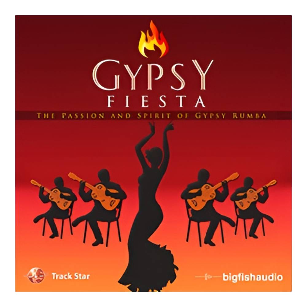 BIG FISH AUDIO GYPSY FIESTA[メール納品]