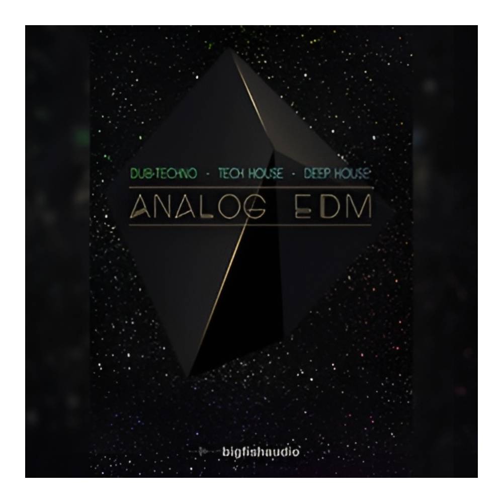 乐天商城 - BIG FISH AUDIO ANALOG EDM[メール納品]