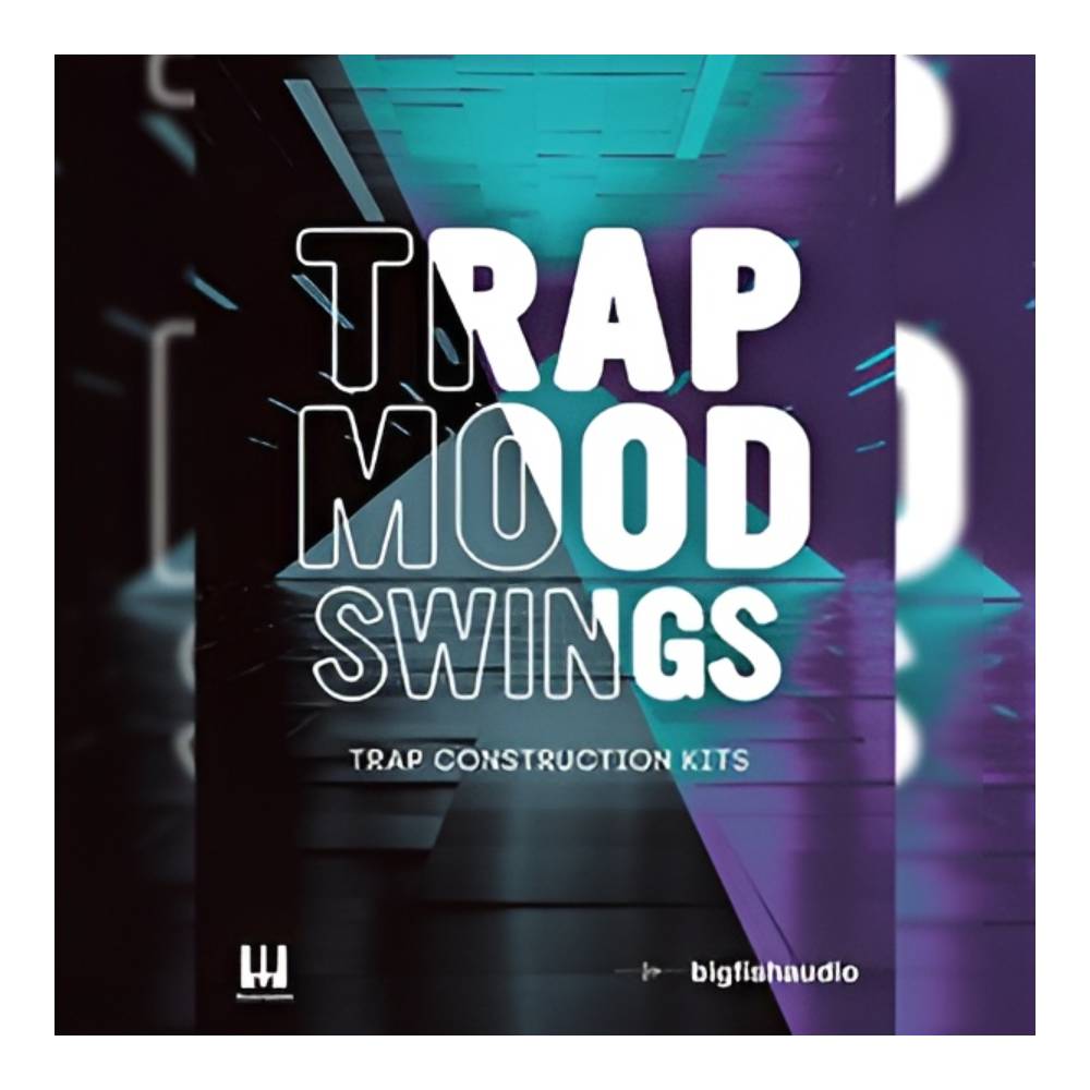 Sound Source - BIG FISH AUDIO TRAP MOOD SWINGS[メール納品]