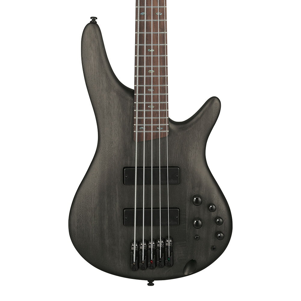 Ibanez SR Standard SR505A-TGF (Transparent Gray Flat)