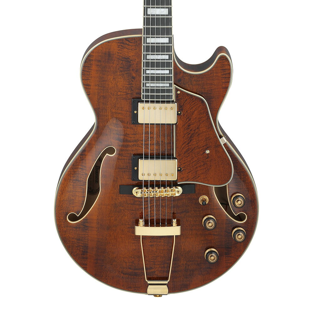 Ibanez AG Artcore Expressionist AG95MG-DA (Dark Amber)
