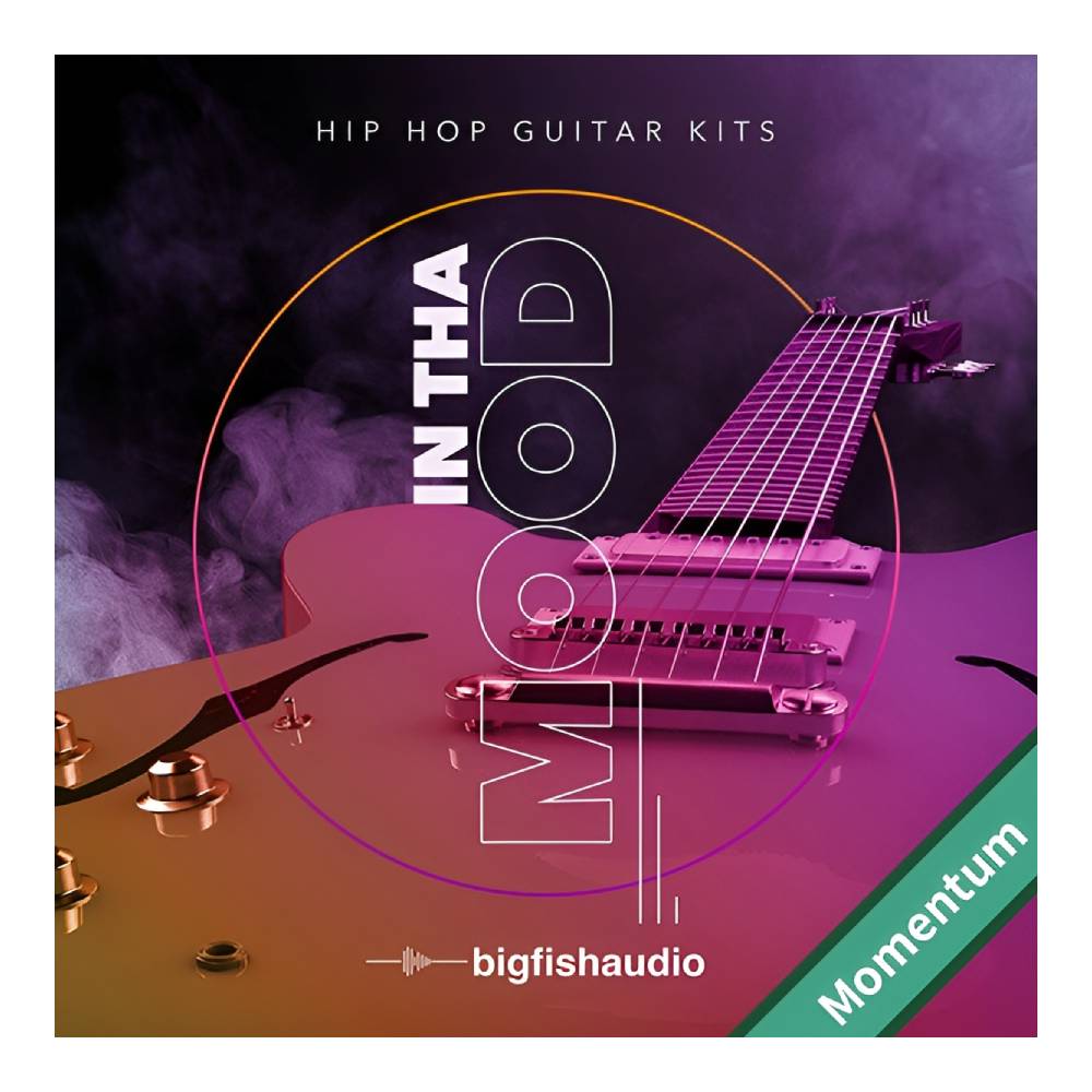 Sound Source - BIG FISH AUDIO IN THA MOOD - HIP HOP GUITAR KITS MMT[メール納品]