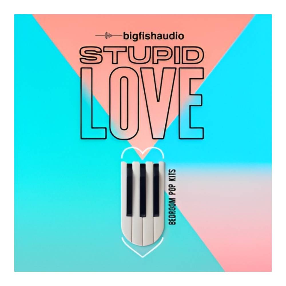Sound Source - BIG FISH AUDIO STUPID LOVE - BEDROOM POP KITS MMT[メール納品]