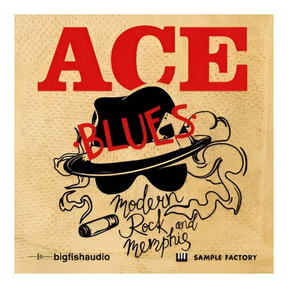 Sound Source - BIG FISH AUDIO MODERN ROCK AND MEMPHIS BLUES[メール納品]