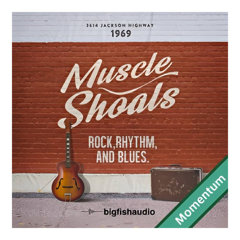 Sound Source - BIG FISH AUDIO MUSCLE SHOALS MMT[メール納品]