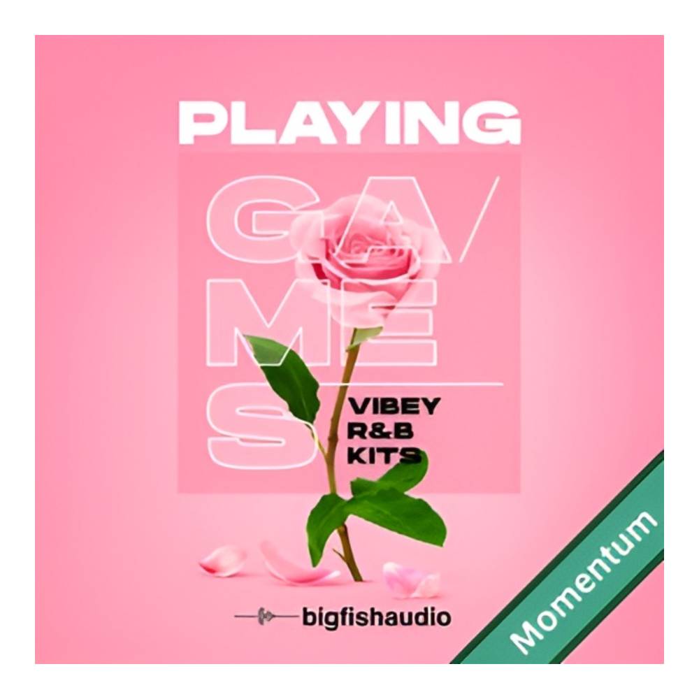 Sound Source - BIG FISH AUDIO PLAYING GAMES - VIBEY R&B KITS MMT[メール納品]
