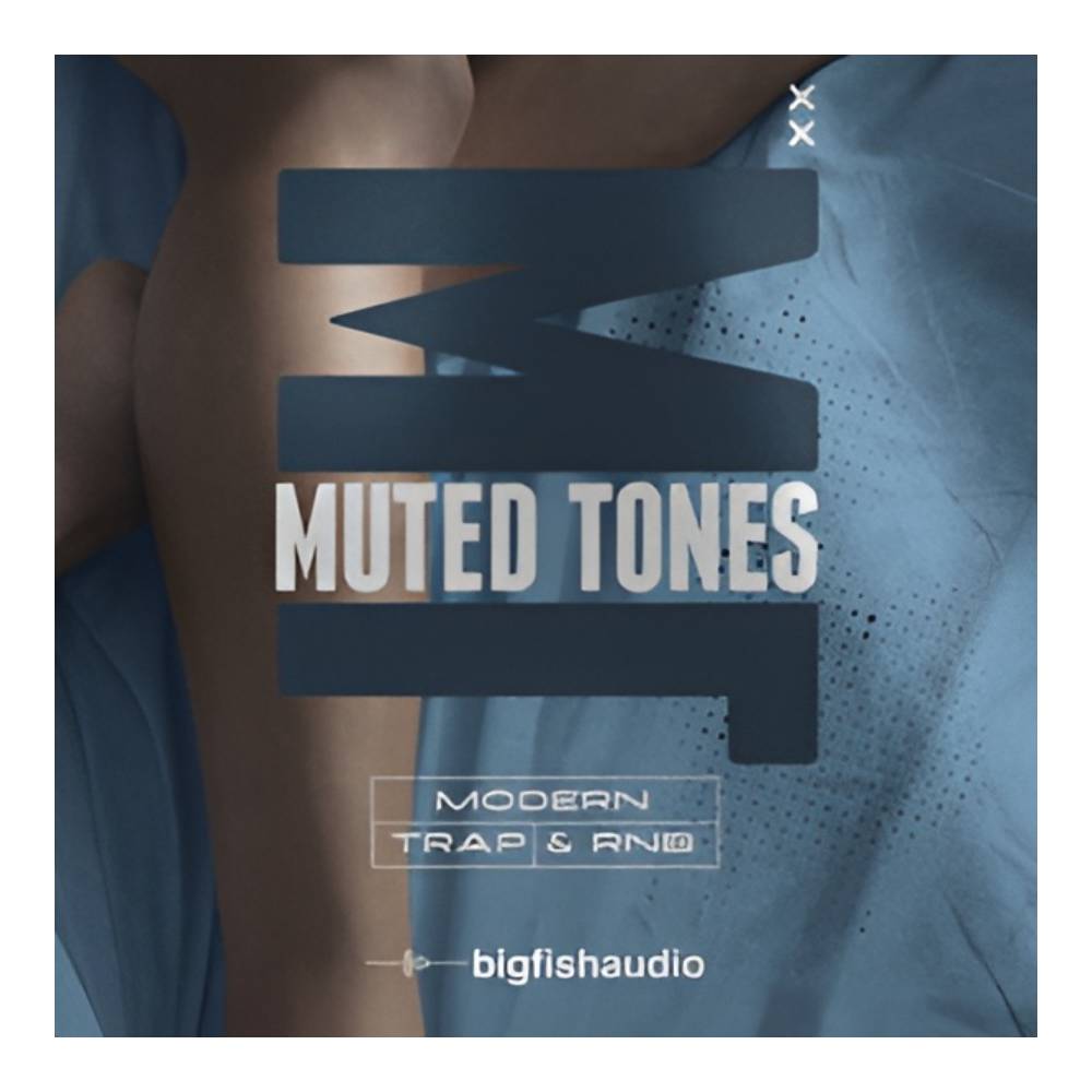 Sound Source - BIG FISH AUDIO MUTED TONES - MODERN TRAP & RNB[メール納品]