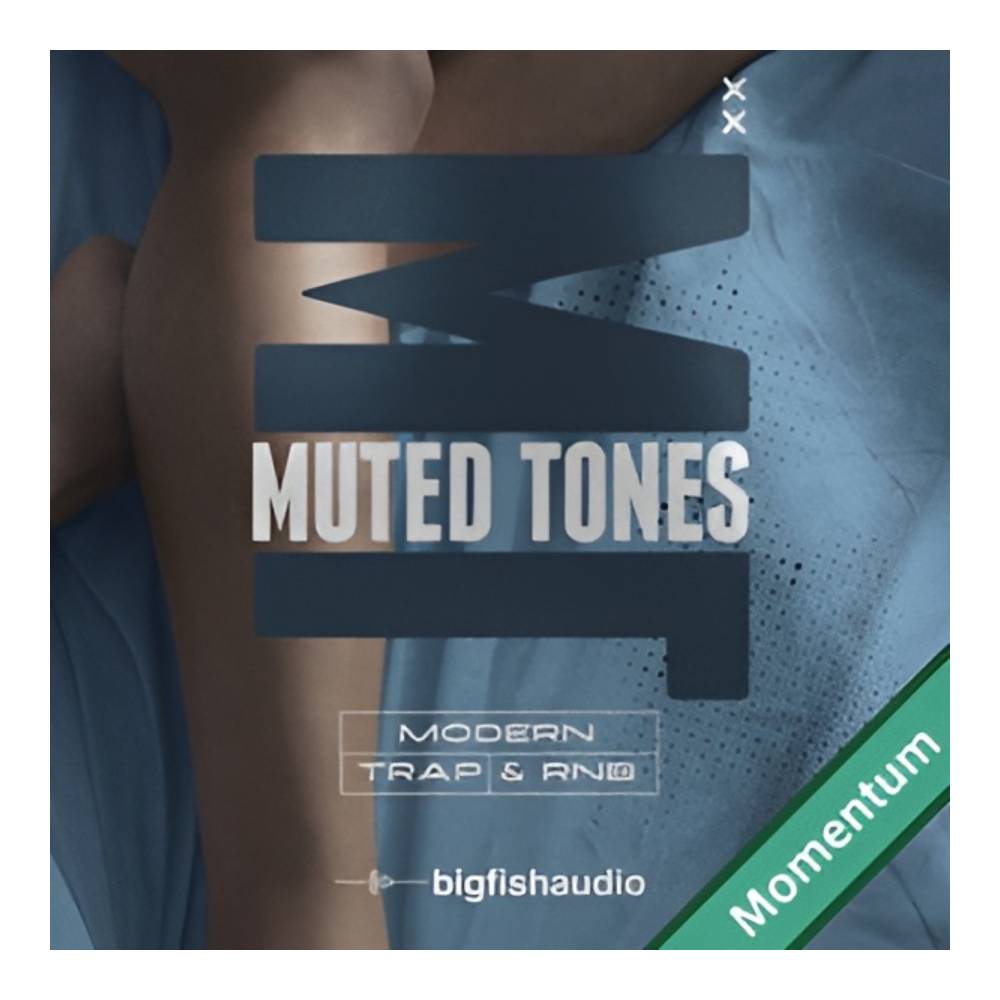 BIG FISH AUDIO MUTED TONES - MODERN TRAP & RNB MMT [メール納品]