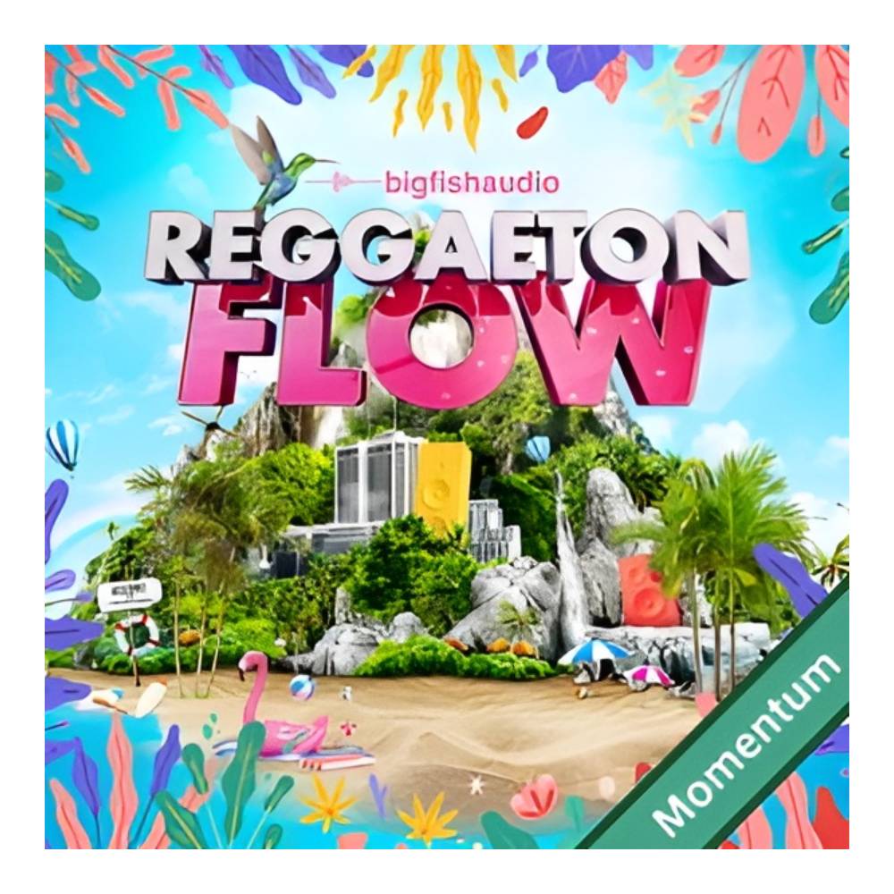 BIG FISH AUDIO REGGAETON FLOW MMT[メール納品]