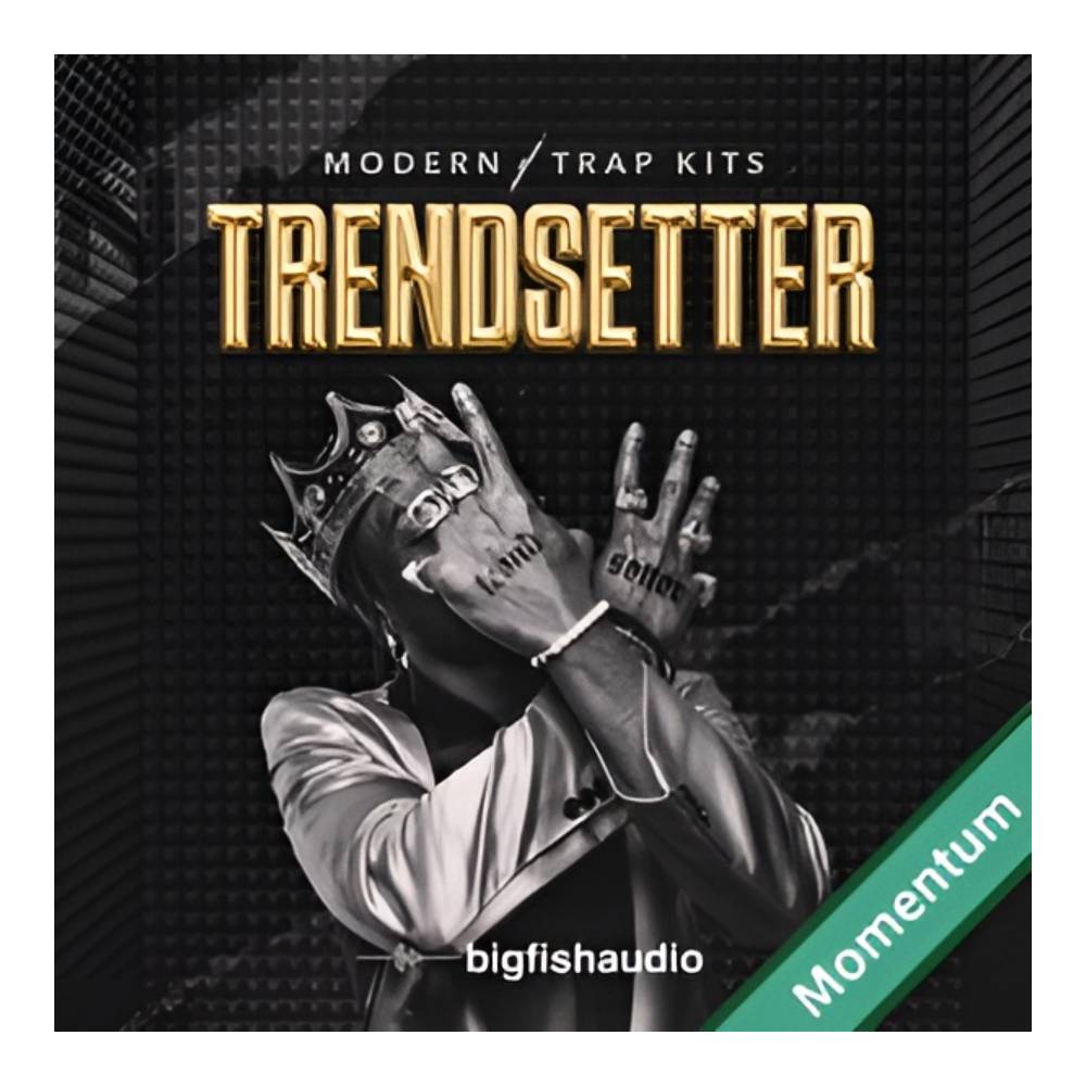 Sound Source - BIG FISH AUDIO TRENDSETTER - MODERN TRAP KITS MMT[メール納品]