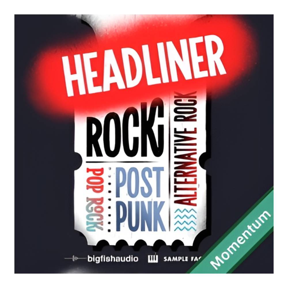 BIG FISH AUDIO ROCK ALTERNATIVE ROCK POP ROCK AND POST-PUNK MMT[メール納品]