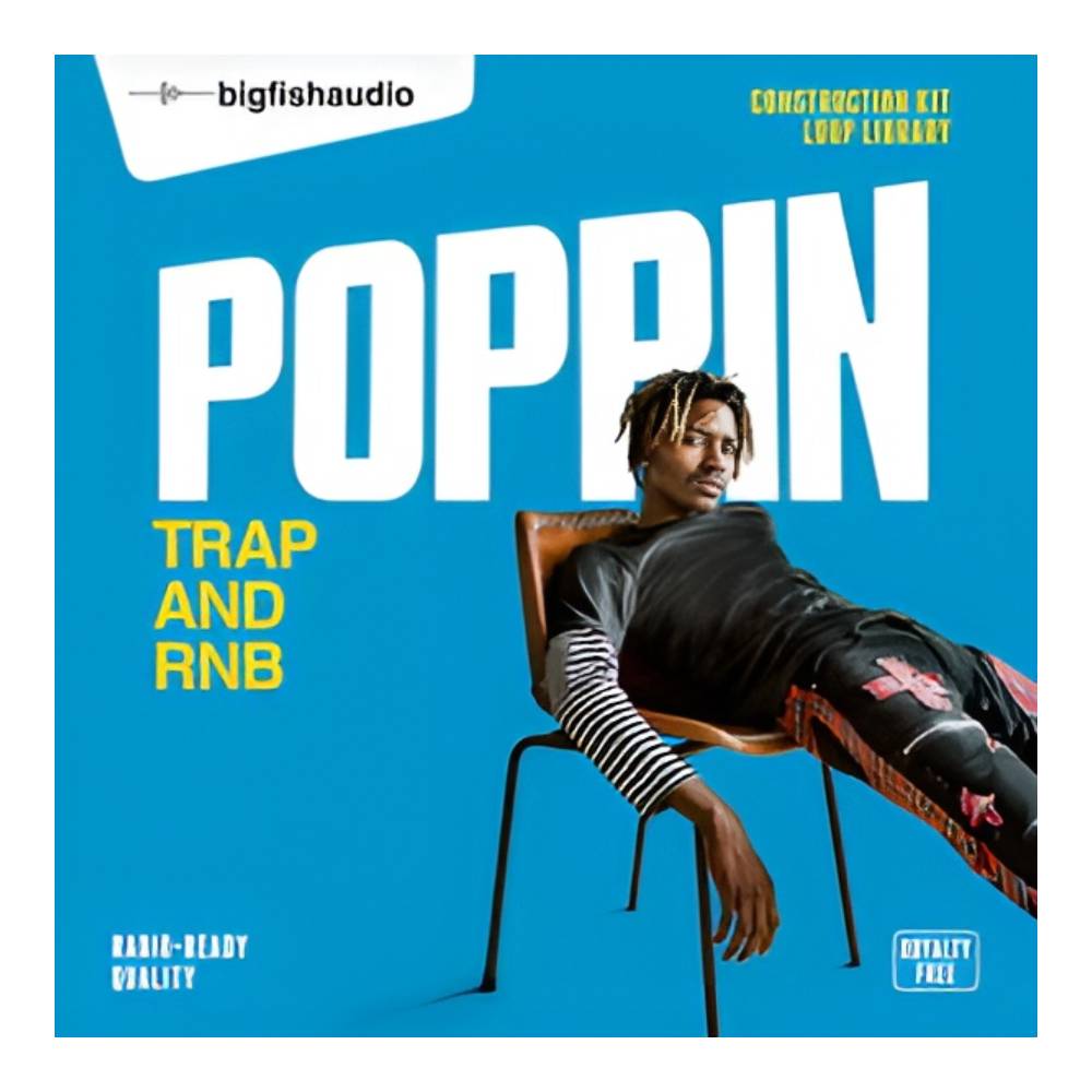 BIG FISH AUDIO POPPIN - TRAP AND RNB [メール納品]