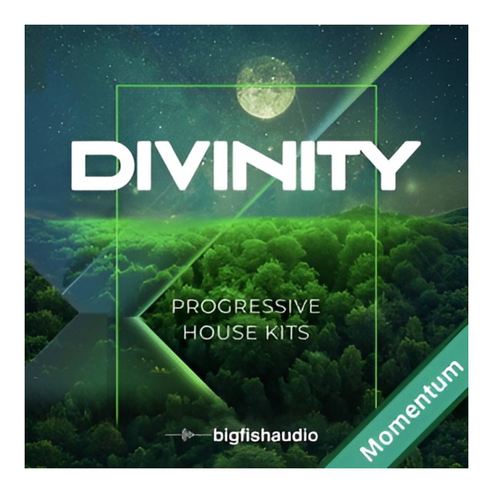 Sound Source - BIG FISH AUDIO DIVINITY - PROGRESSIVE HOUSE KITS MMT[メール納品]