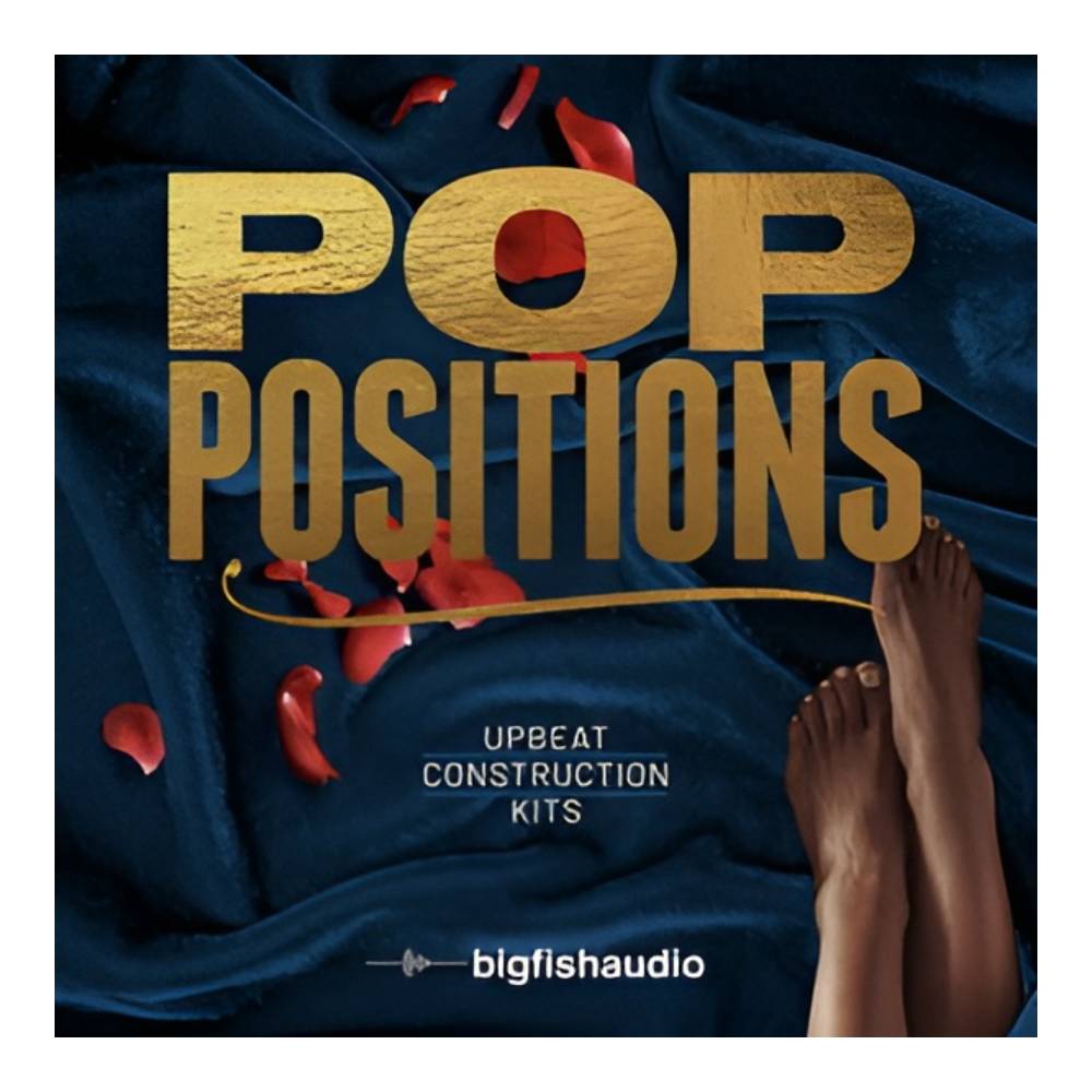 Dtm, Recording, Pa Instruments - BIG FISH AUDIO POP POSITIONS - UPBEAT CONSTRUCTION KITS[メール納品]