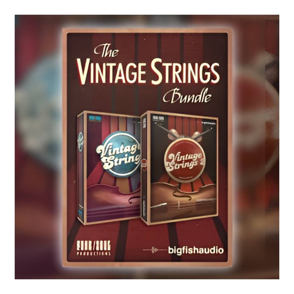 BIG FISH AUDIO VINTAGE STRINGS BUNDLE[メール納品]