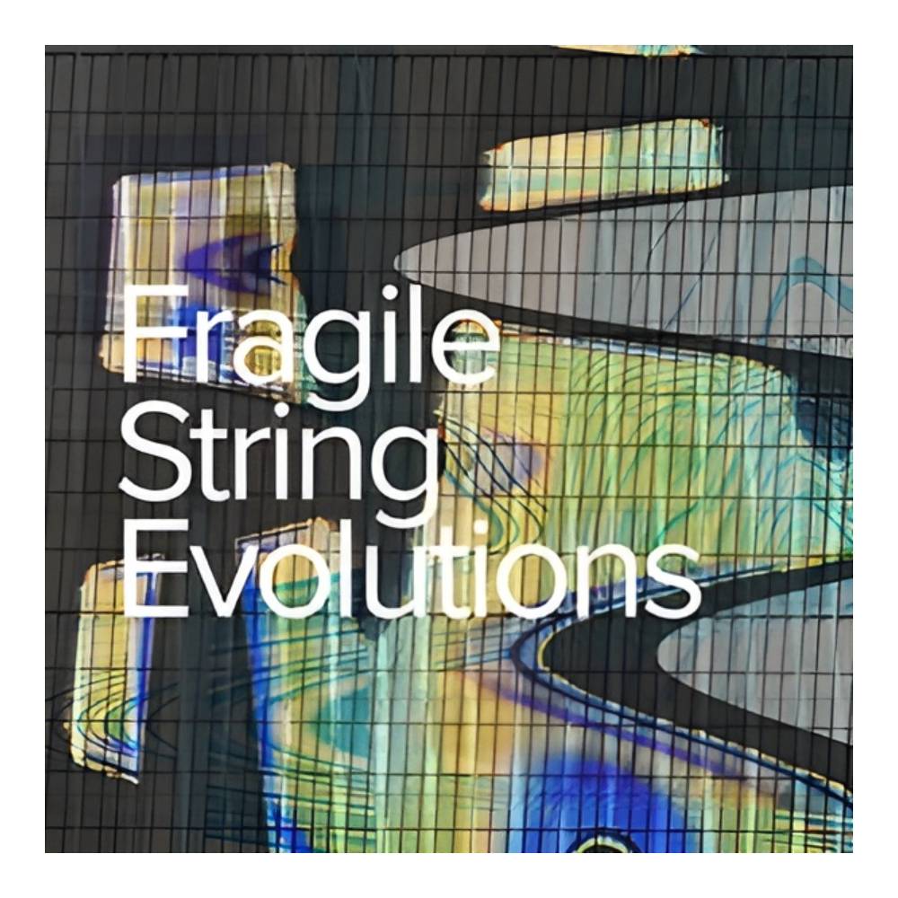 乐天商城 - SPITFIRE AUDIO FRAGILE STRING EVOLUTIONS [メール納品]