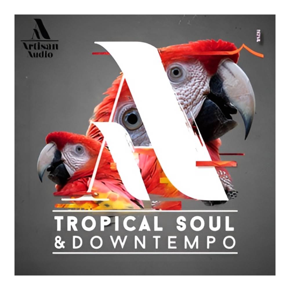 ARTISAN AUDIO TROPICAL SOUL & DOWNTEMPO [メール納品]