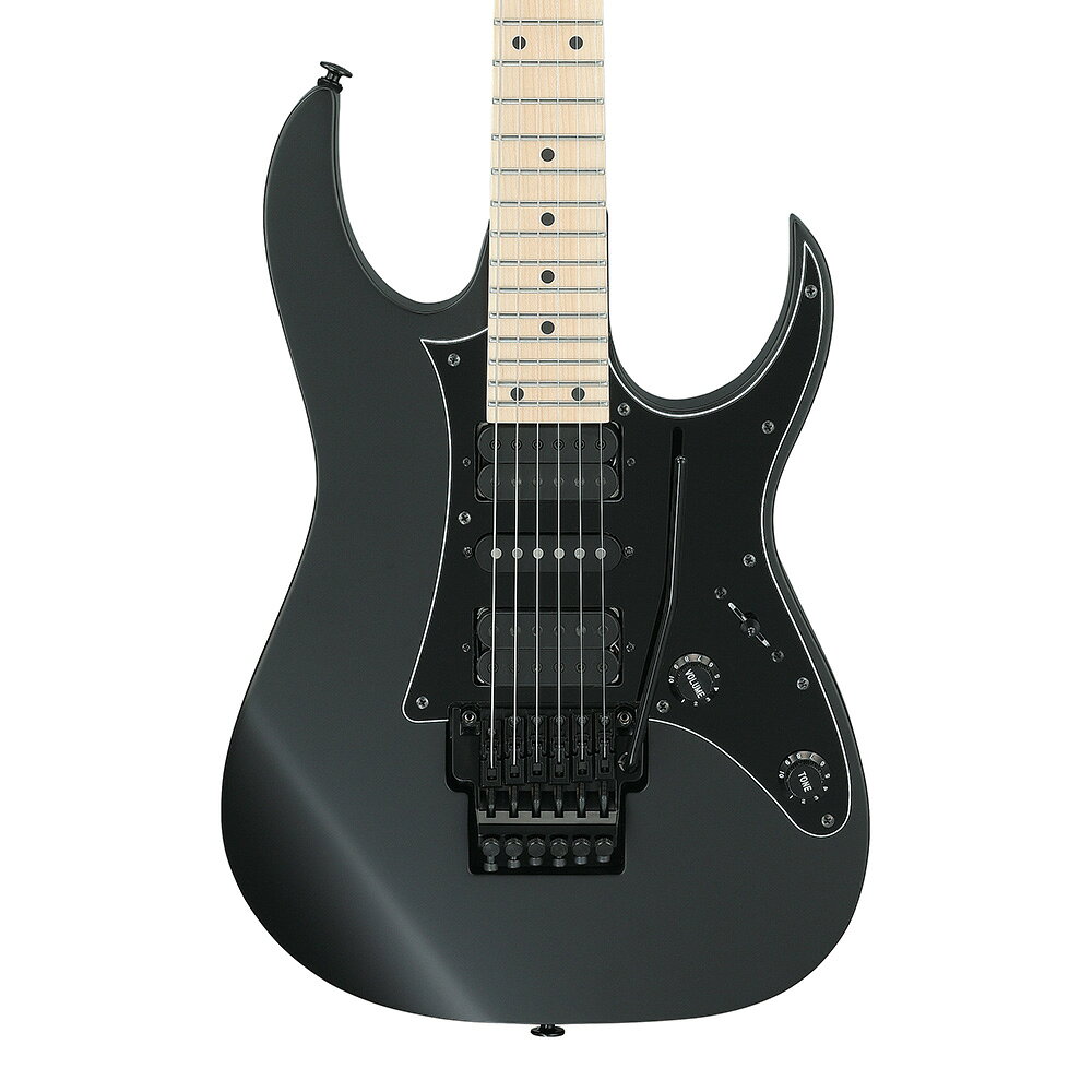 Ibanez RG Genesis Collection RG550-BKF (Black Flat)