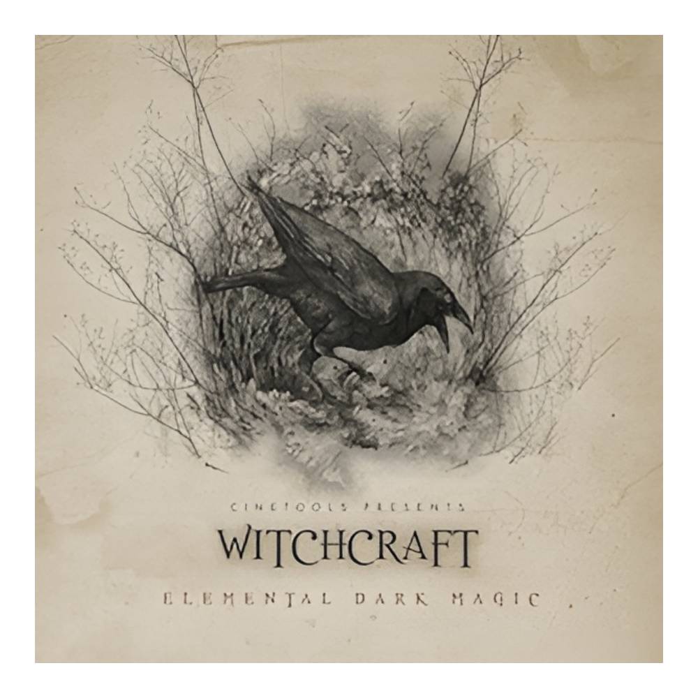 CINETOOLS WITCHCRAFT [メール納品]