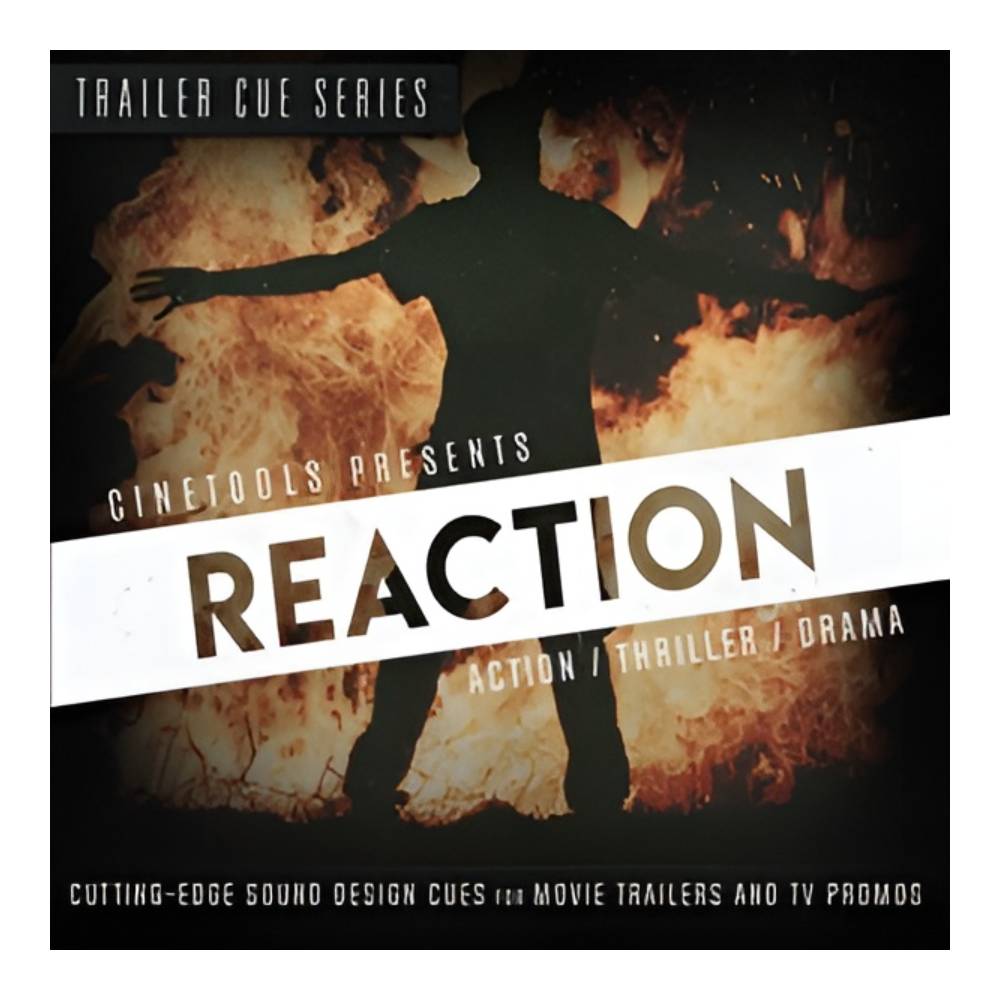 CINETOOLS REACTION [メール納品]