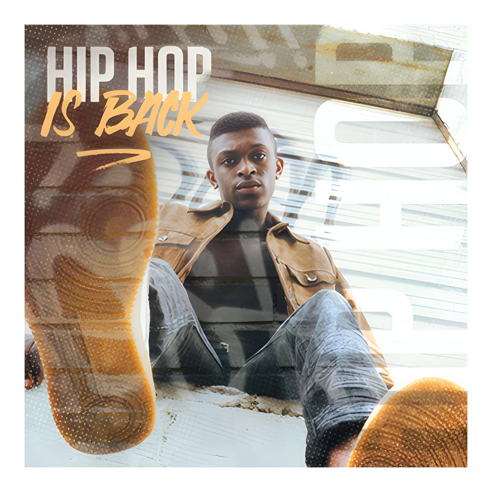 DIGINOIZ HIP HOP IS BACK [メール納品]