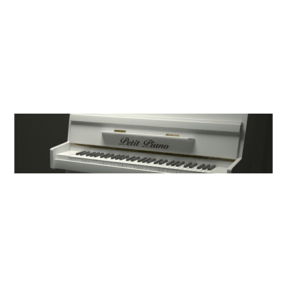 Acoustic Samples Petit Piano [メール納品]