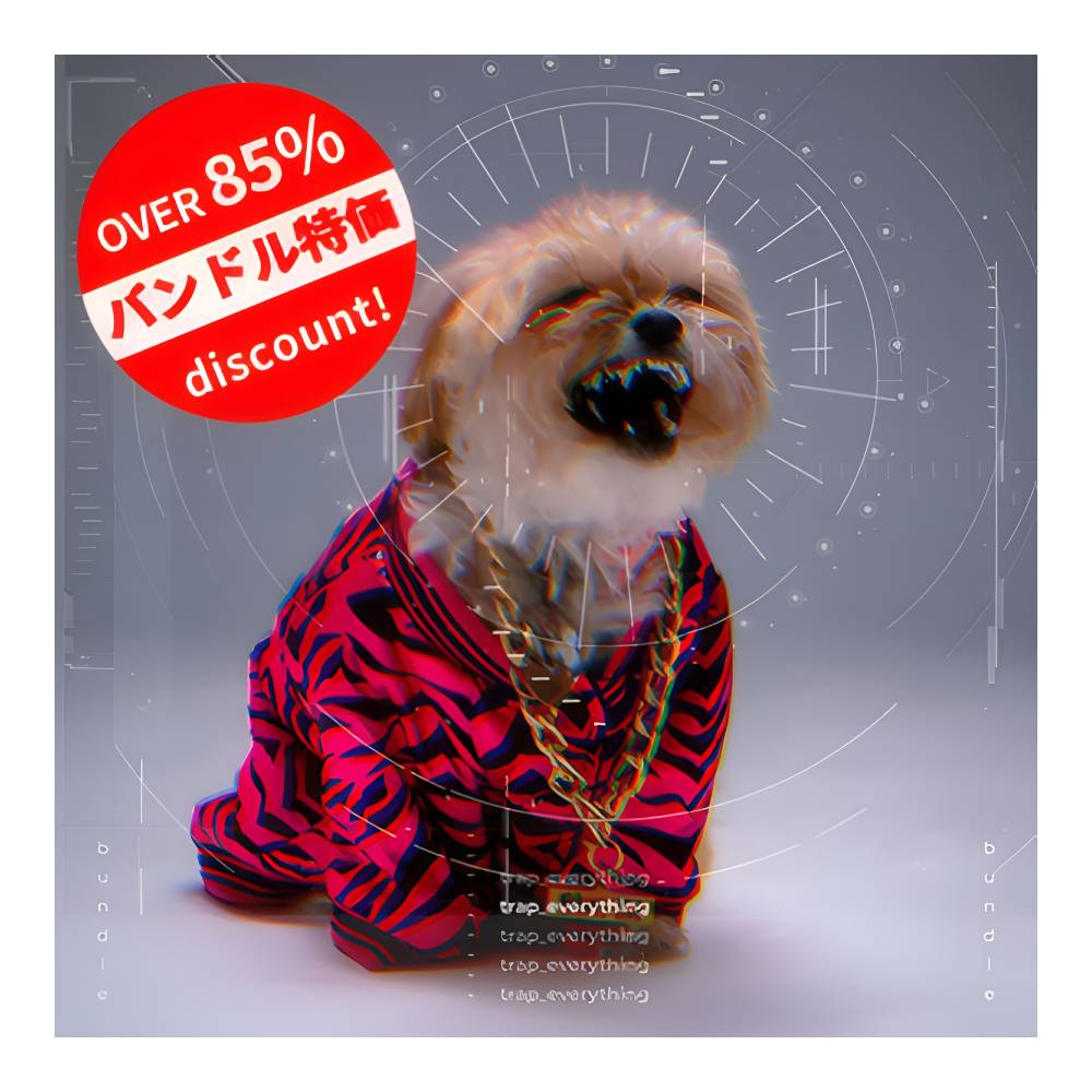 DIGINOIZ TRAP EVERYTHING BUNDLE [メール納品]