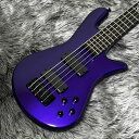 Spector NS ETHOS HP 5 Plum Crazy GlossyEMG Dual Coil P.UEDarkglass Tone Capsuleځz