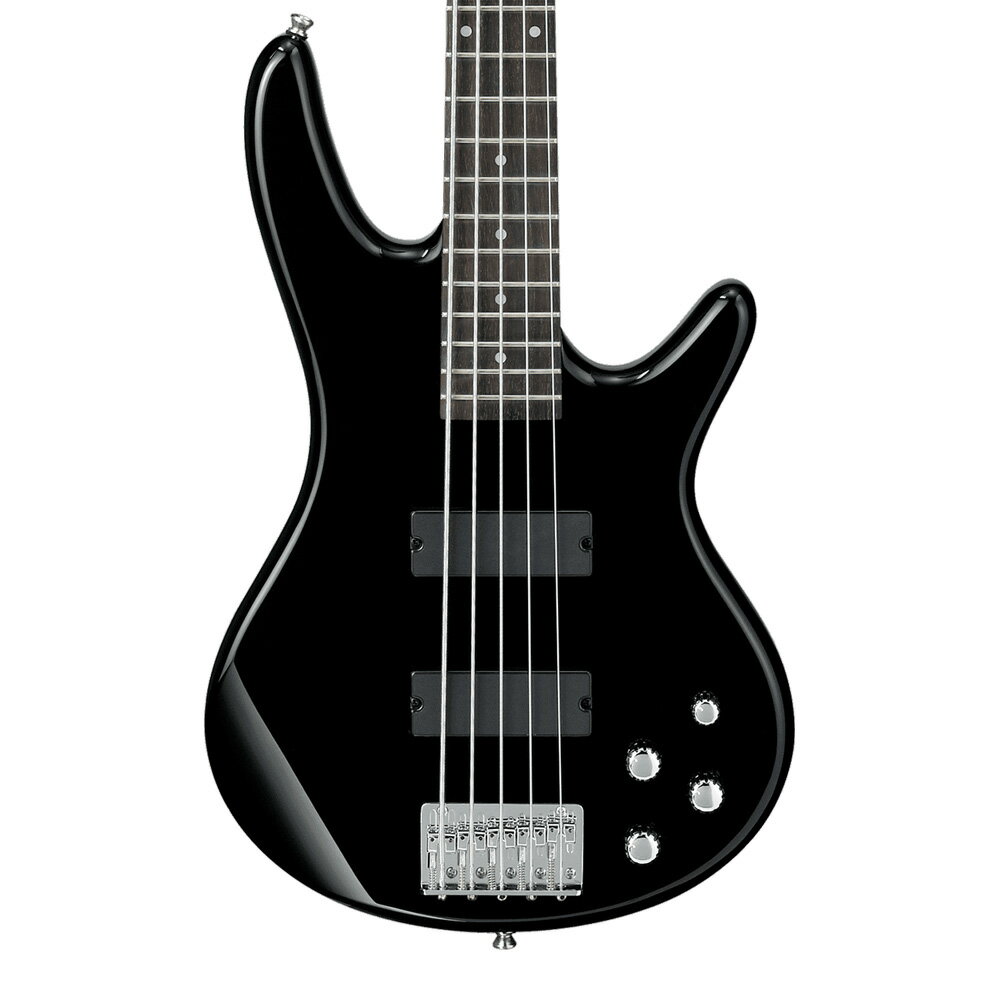 ■3,000円OFFクーポン配布中 Ibanez Gio GSR205-BK (Black)